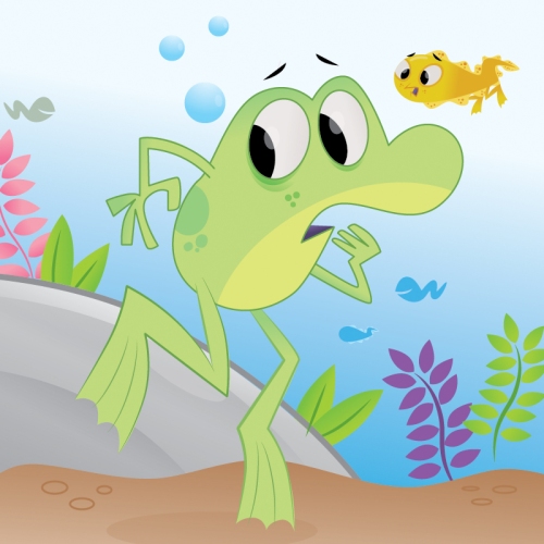 robfrog-tadpole1